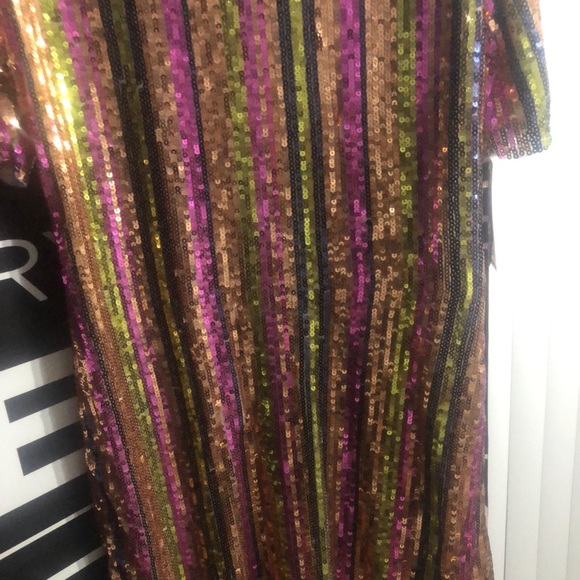 Sequins - Picture 3 of 6